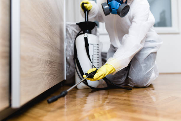 Best Termite Control Services  in Lake Brownwood, TX