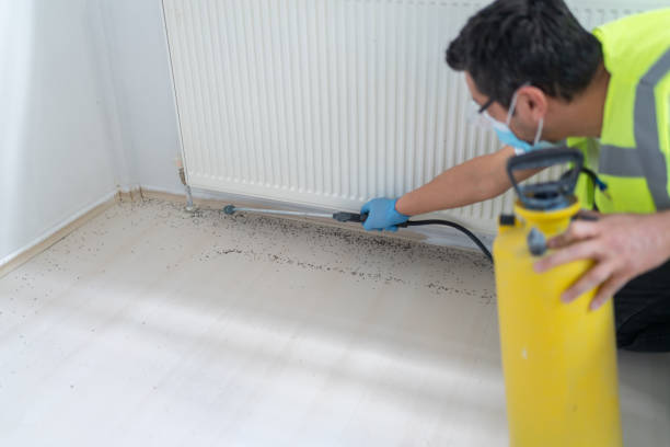 Best Mosquito Control Services  in Lake Brownwood, TX